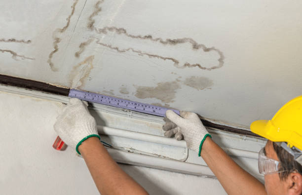 Reliable Mold Remediation contractor in Jacksonville, OH by Water Damage Irwin